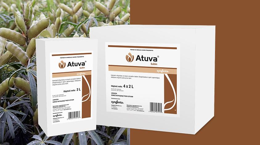 Atuva Łubin