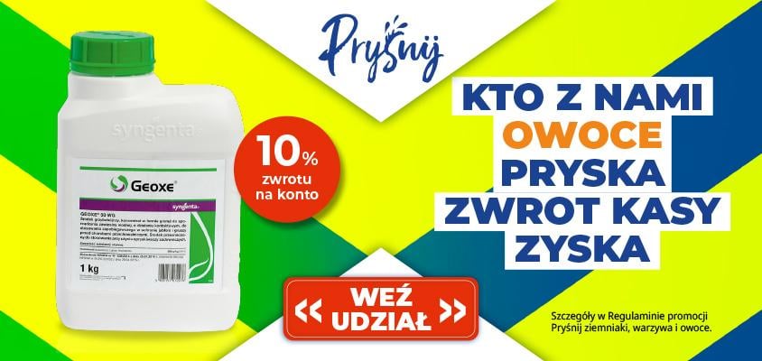 Geoxe - Prysnij