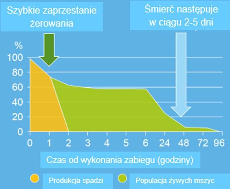 Szybkie zaprzestanie zerowania