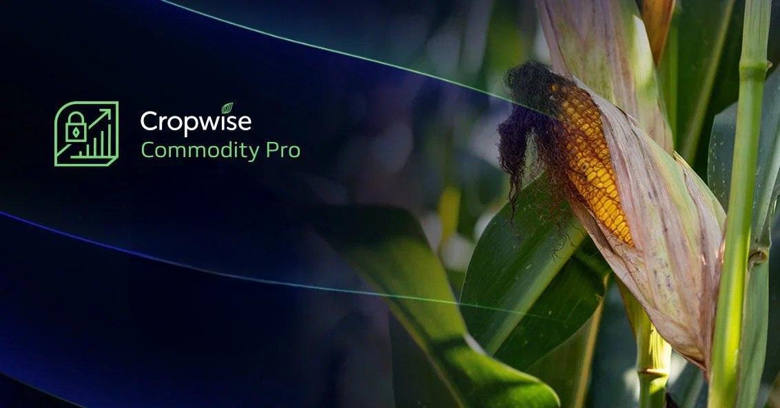 commodity pro corn