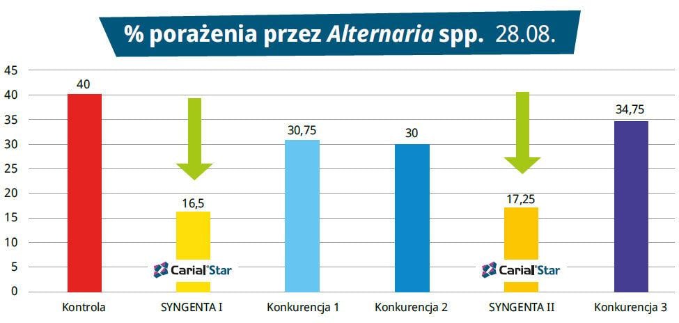 Zaraza i alternarioza ziemniaka – % porażenia przez Alternaria spp. 28.08.