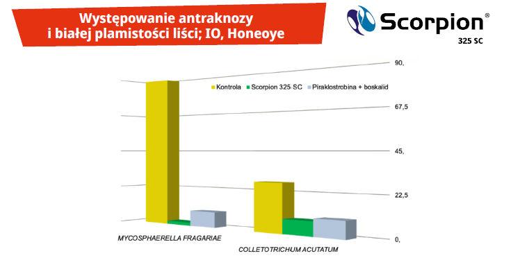 Ochrona roślin jagodowych – Scorpion, uniwersalny produkt na najgroźniejsze choroby - Występowanie antraknozy i białej plamistości liści; IO, Honeoye