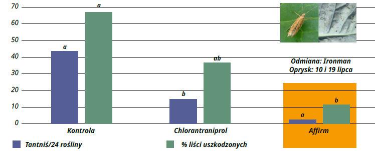 Tantniś krzyżowiaczek (Plutella maculipennis) groźny dla plantacji - Affirm wykazuje wysoką skuteczność w zwalczaniu tantnisia krzyżowiaczka