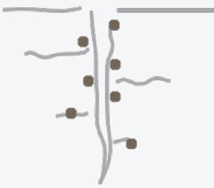 poradnik-do-oceny-jakosci-inokulacji-pozycja1-równomierne-rozmieszczone-1b.jpg