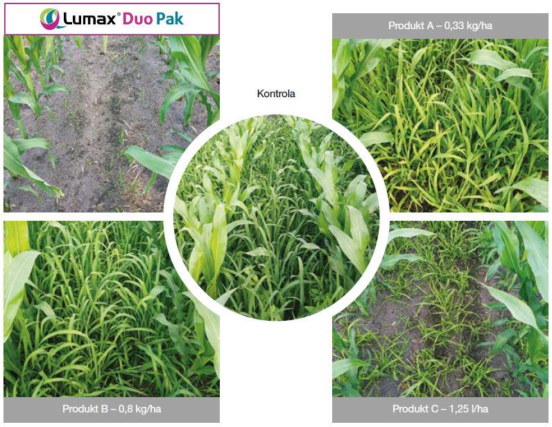 Lumax Duo Pak - doświadczenia polowe