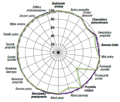 Lumax Duo Pak – skuteczność zwalczania chwastów