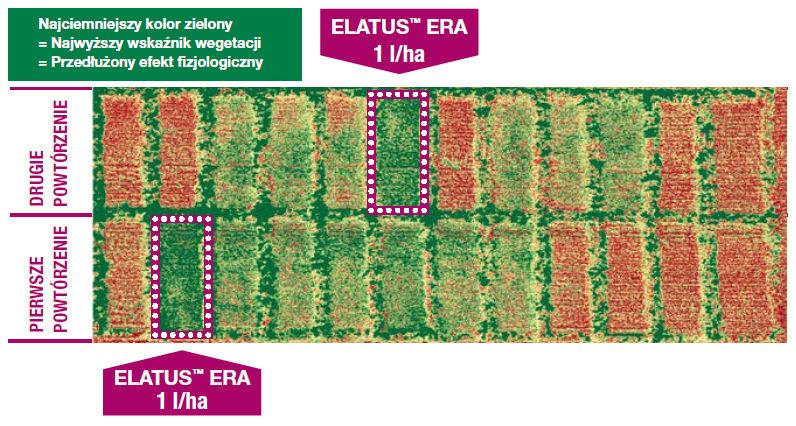 Elatus™ Era - z lotu ptaka