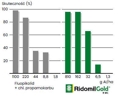 Ridomil Gold R - Skuteczność po 8 dniach od inokulacji