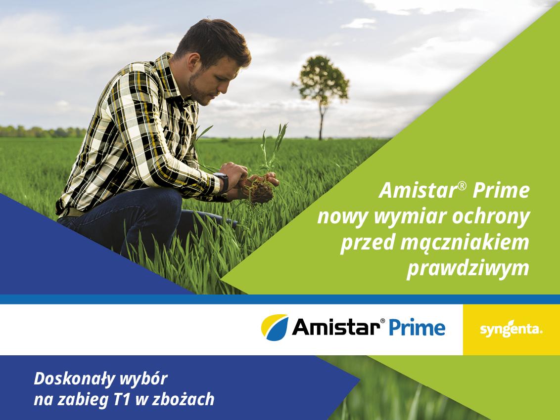 Nowość w zbożach - Amistar® Prime