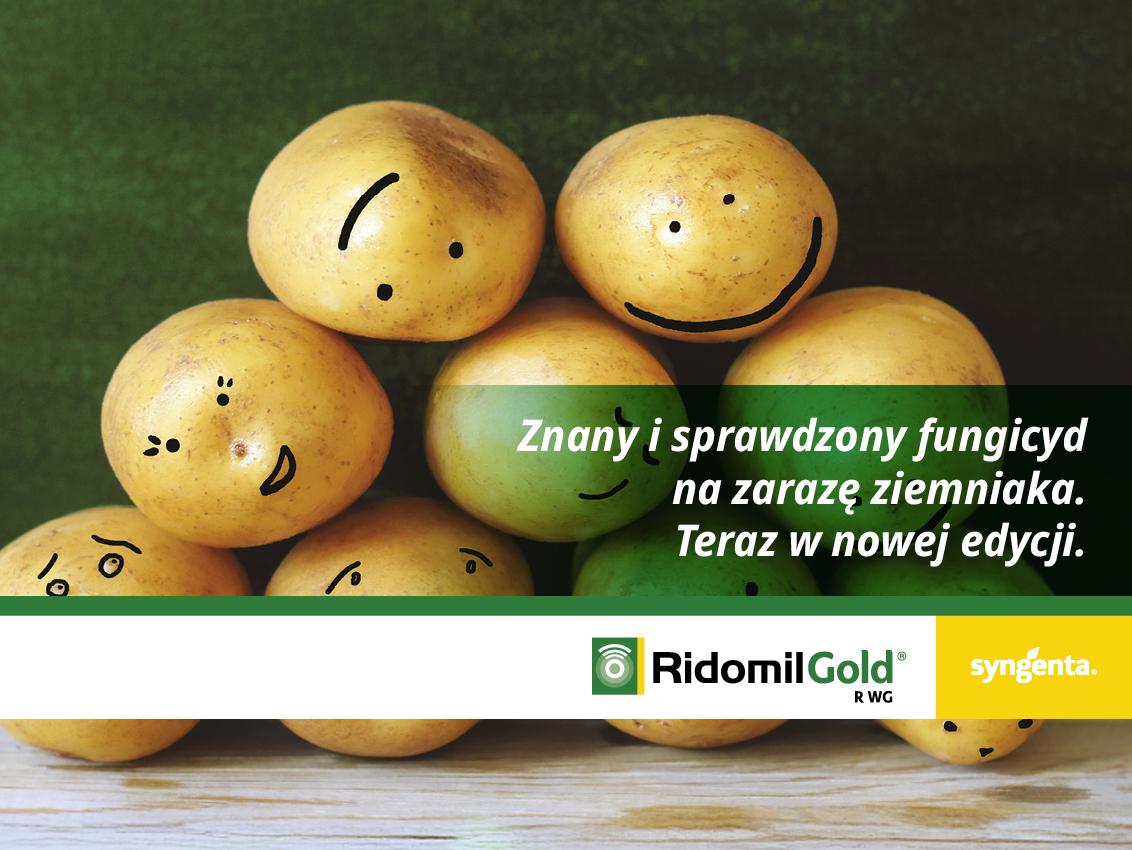 Nowość w ziemniaku - Ridomil® Gold R