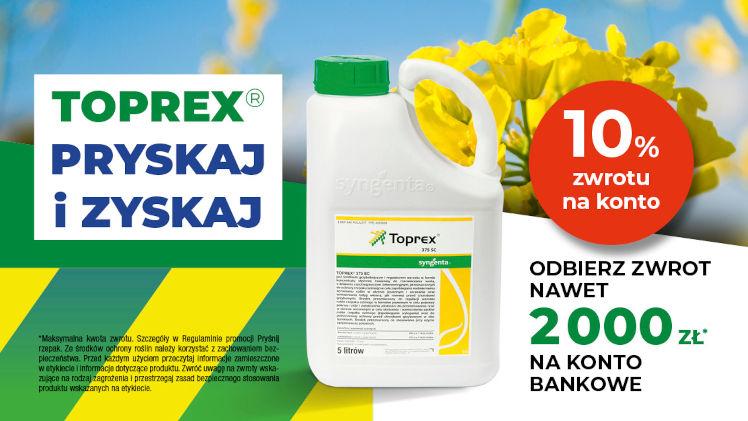 Wiosna na plantacjach rzepaku – rekomendacje polowe - Toprex