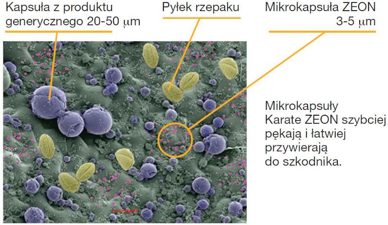 Jak działa Karate Zeon®?