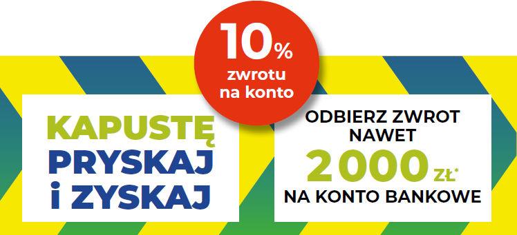Kapustę pryskaj i zyskaj