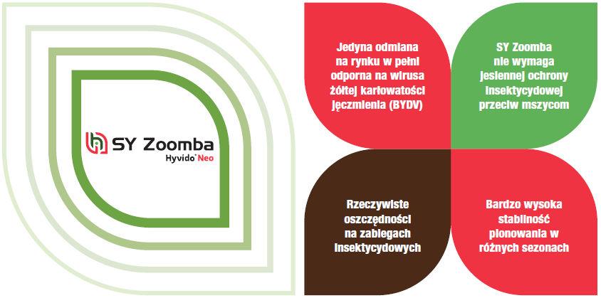 SY Zoomba - Dodatkowe korzyści z wyboru odmiany w technologii Hyvido NEO