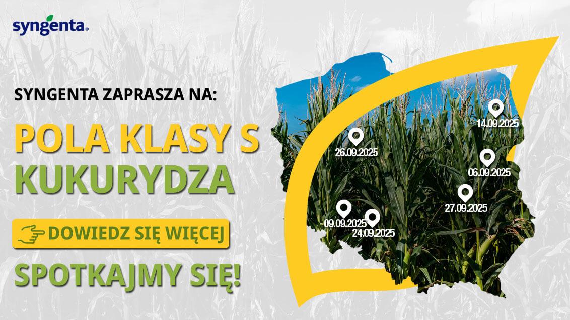 Pola Klasy S Kukurydza 2025