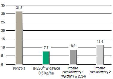 Treso - porażenia przez Sclerotinia sclerotiorum