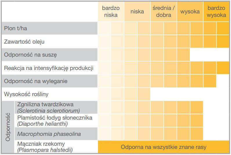 Słonecznik Surest HTS - charakterystyka