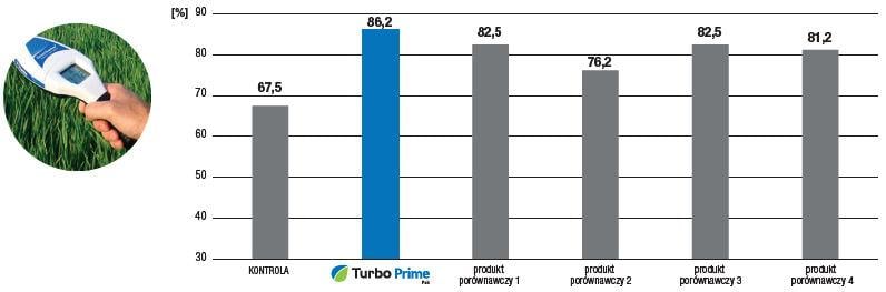 Zieloność liści na najwyższym poziomie