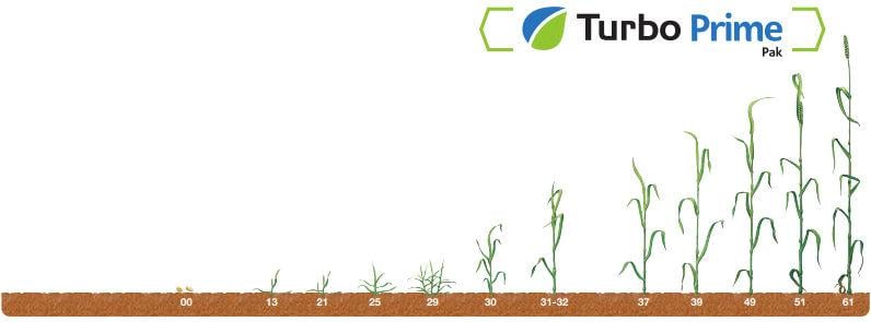 Turbo Prime Pak - termin stosowania