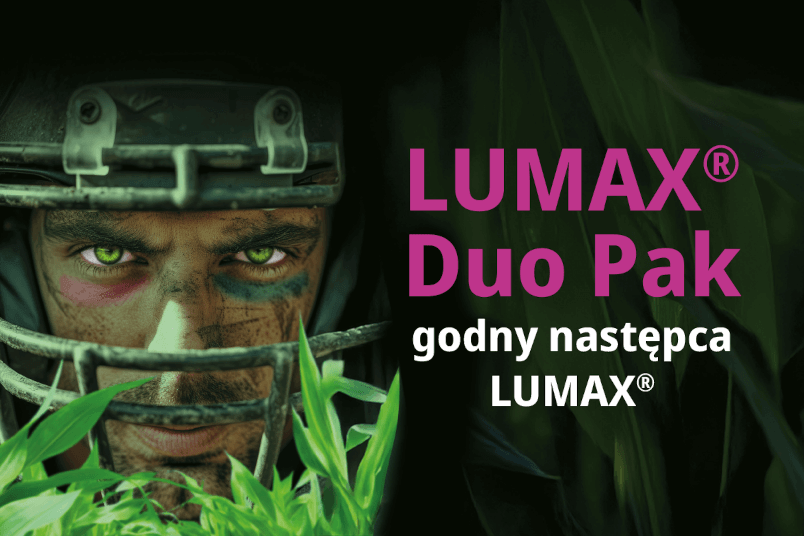 Odchwaszczanie kukurydzy w zmiennych warunkach pogodowych – godny następca Lumax