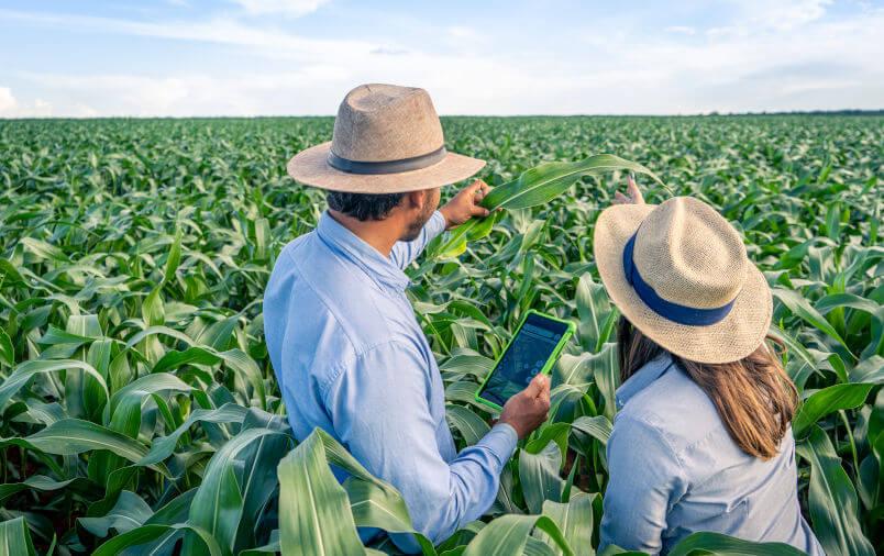 Rolników Twoje pole jest różnorodne - Cropwise 2023