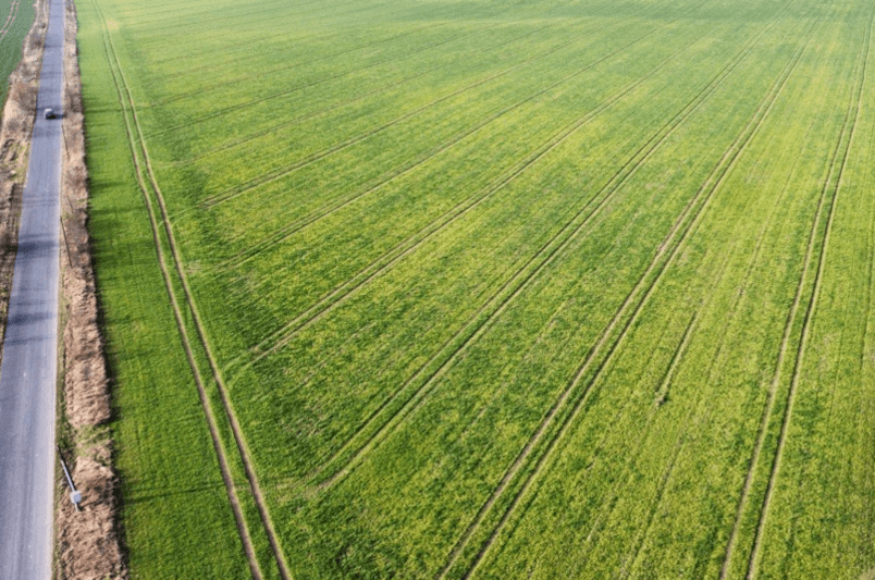 Widok z góry na zielone pole z równymi pasami; po lewej wąska droga.