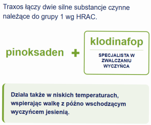 Grafika: pinoksaden + klodinafop, specjalista w zwalczaniu wyczyńca; działa w niskich temp.