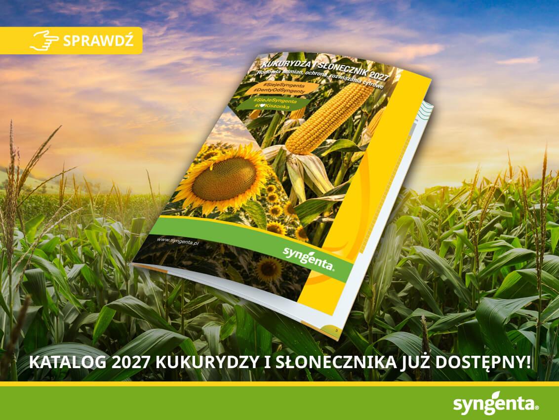 Reklama katalogu 2027 na tle pola kukurydzy, z hasłem o dostępności online.