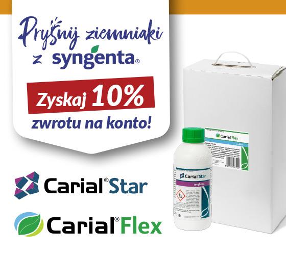 Pryśnij ziemniaki