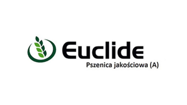 Pszenica jakościowa Euclide
