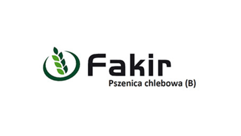 Pszenica chlebowa Fakir