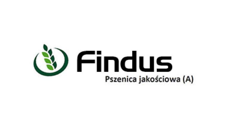 Pszenica jakościowa Findus