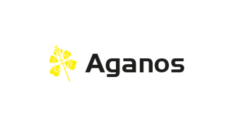 Rzepak Aganos odmiana mieszańcowa