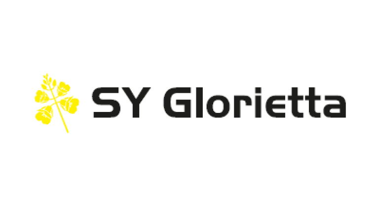 Rzepak SY Glorietta odmiana mieszańcowa