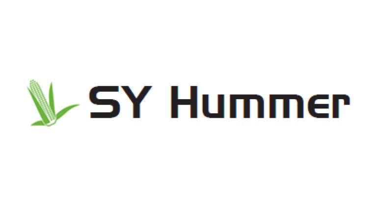 Kukurydza SY Hummer - odmiana na kiszonkę