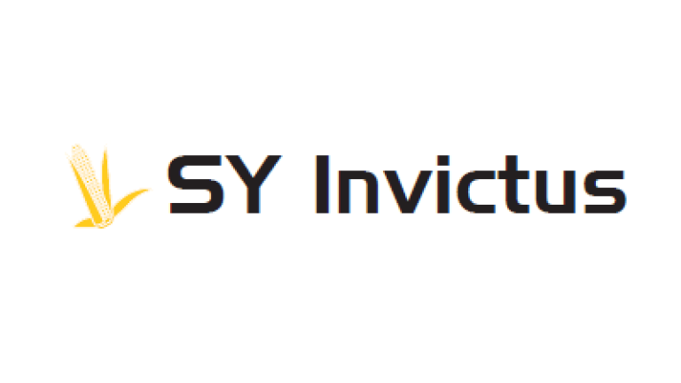 Kukurydza SY Invictus - odmiana na ziarno