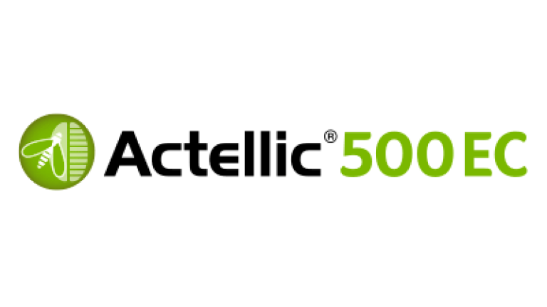 Insektycyd Actellic