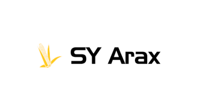 Ziarno kukurydzy SY Arax