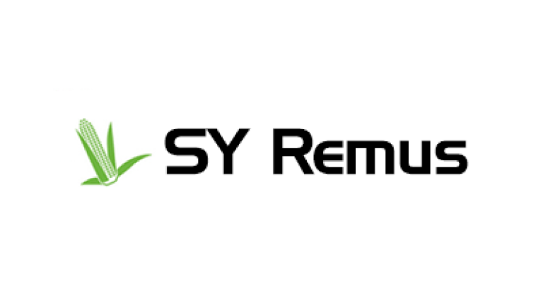 Kiszonka kukurydzy SY Remus