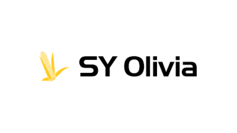 Kukurydza na ziarno - SY Olivia