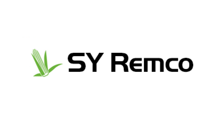 Kukurydza na kiszonkę - SY Remco