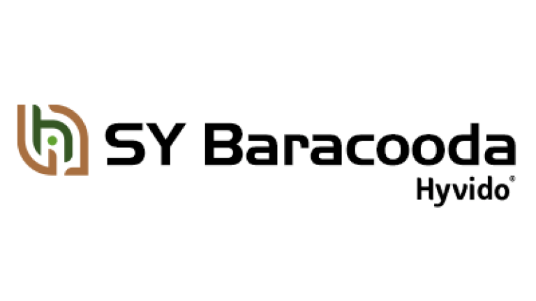 Jęczmień hybrydowy Hyvido SY Baracooda