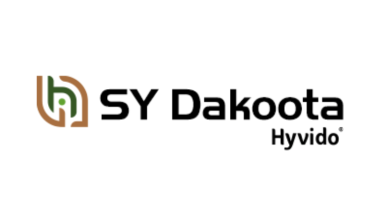 Jęczmień hybrydowy Hyvido - SY Dakoota