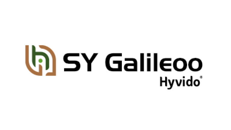 Jęczmień hybrydowy Hyvido SY Galileoo