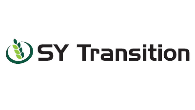 Pszenica jakościowa (A) SY Transition