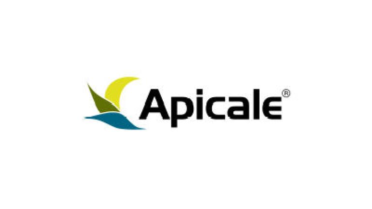 Logo Apicale z zielono-niebieskim symbolem liścia i falą